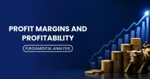 Profit Margins and Profitability thumbnail